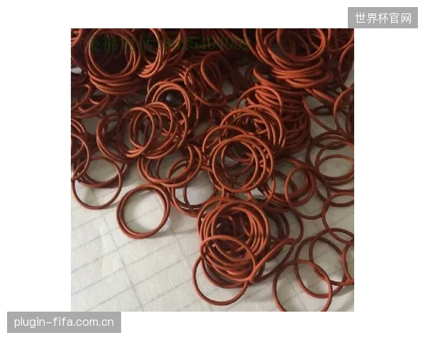 FKM密封圈市场观察：动态标定正沦为一个被滥用的营销标签，而非性能的真实保证